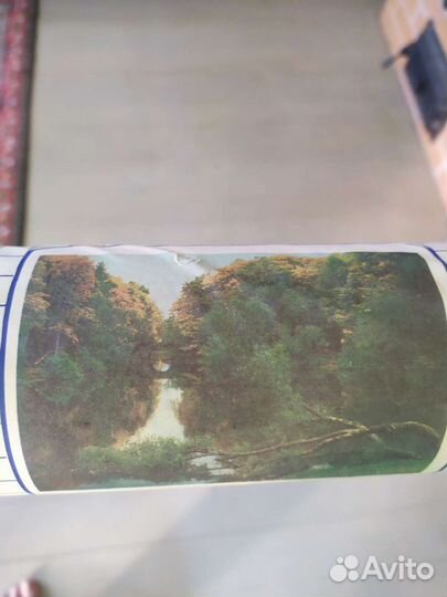 Фотообои Природа 201х277 см