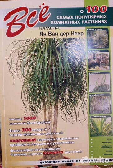 Книга 100 популярных комнатных растений