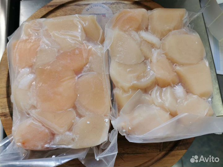 Морской гребешок. Сахалин