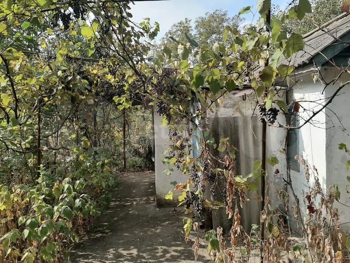 Участок 6 сот. (СНТ, ДНП)