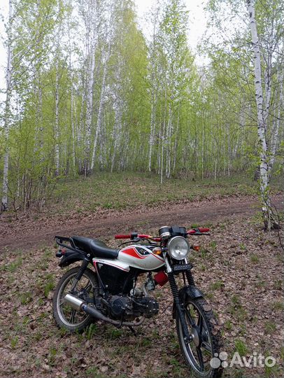 Мопед альфа rx110