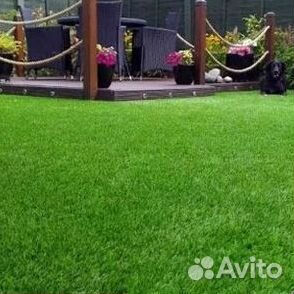 Продажа Рулонного газона