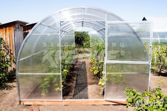 Теплица 