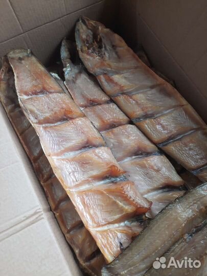 Продаётся живая рыба