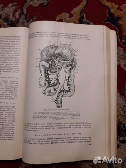 Учебник нормальной анатомии человека
