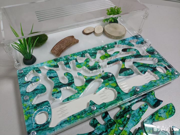 Муравьиный домик, формикарий, муравьи