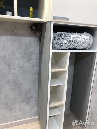 Домик когтеточка