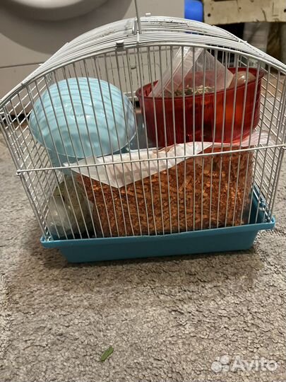 Клетка для джунгарского хомяка