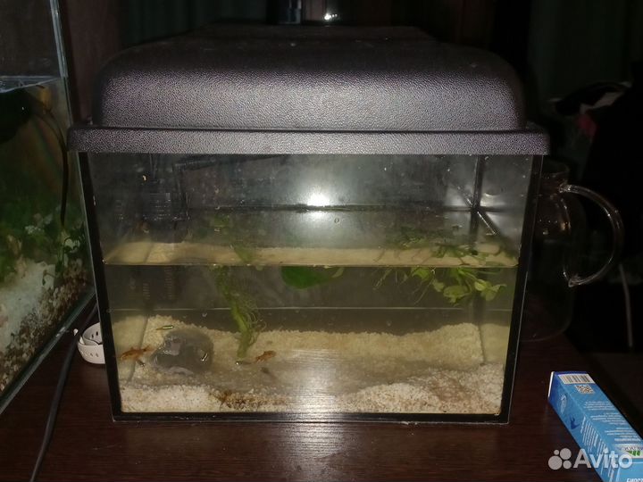 Аквариум