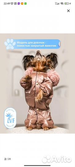 Одежда для собак мелких пород