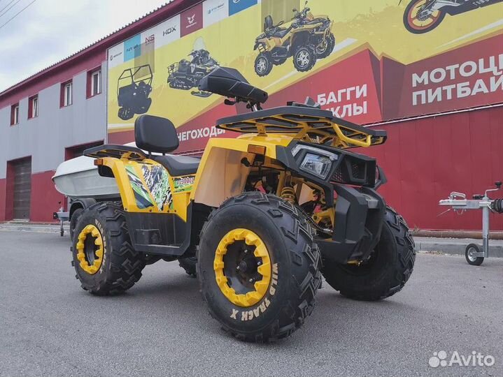 Мощный квадроцикл promax storm 300сс