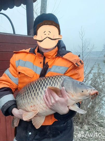 Рыбалка Апшеронский район. Беседка с мангалом