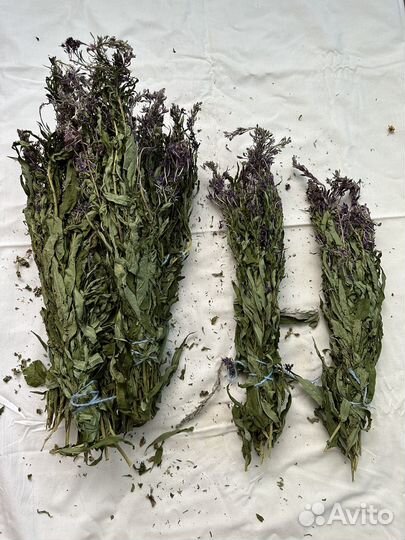 Зверобой, листья черники, мята,мелисса