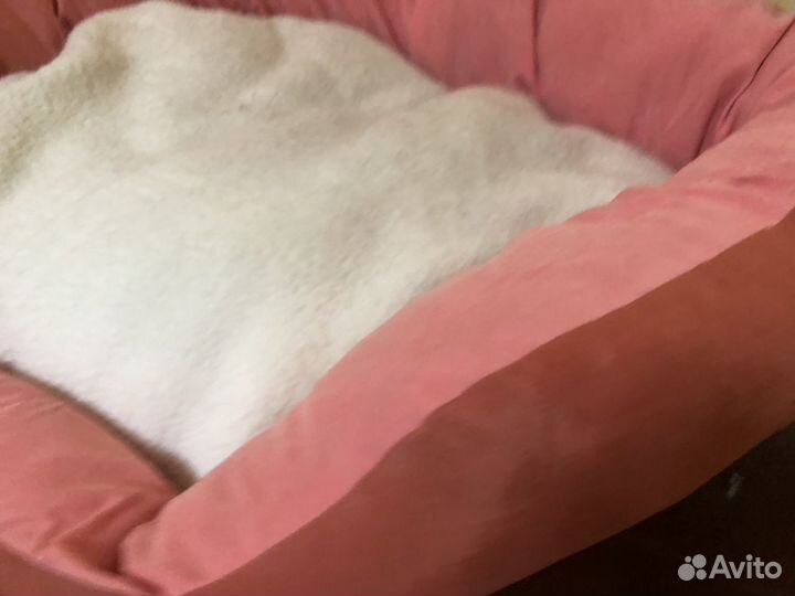 Лежанка для животных