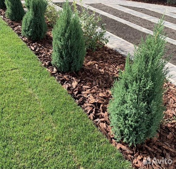 Кора лиственницы, мульча
