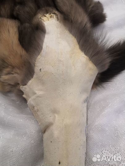 Шкурки соболя дикого сибирского 5 шт