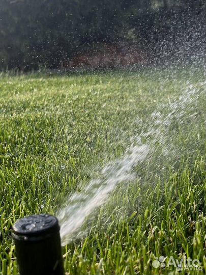 Газон, Автополив, Ландшафтный дизайн от производит