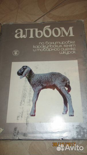 Альбом по бонитировке каракульских ягнят