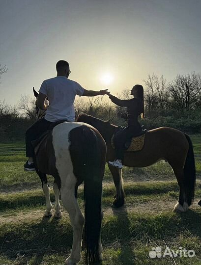 Конные прогулки