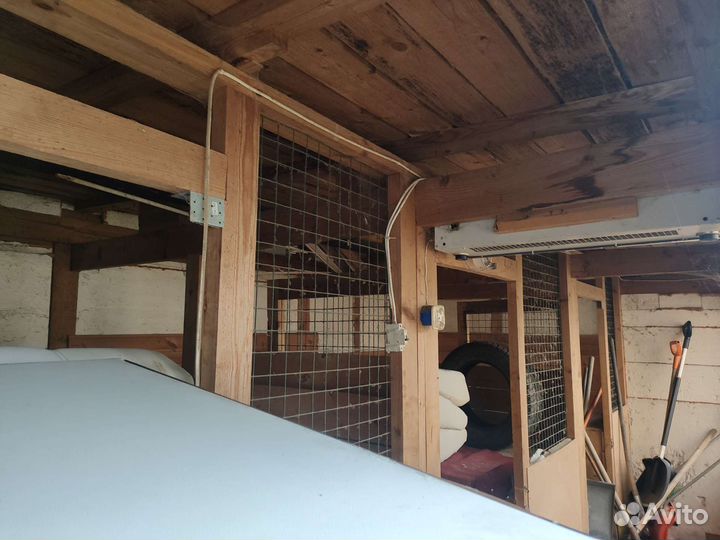 Вольер для собак бесплатно