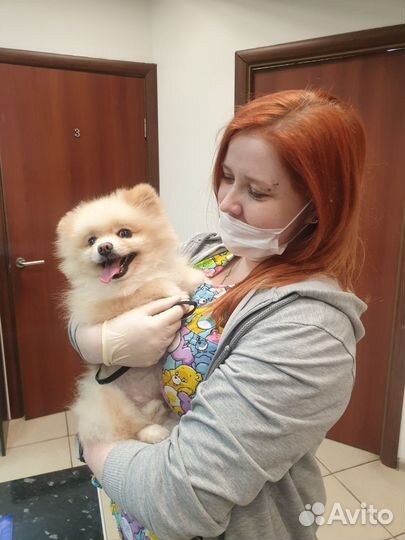 Ветеринарный врач, онлайн консультация