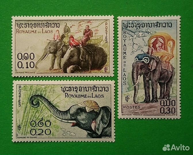 Марки, Фауна