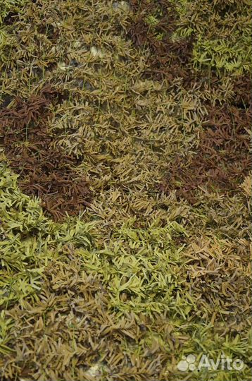 Камуфляжная сетка