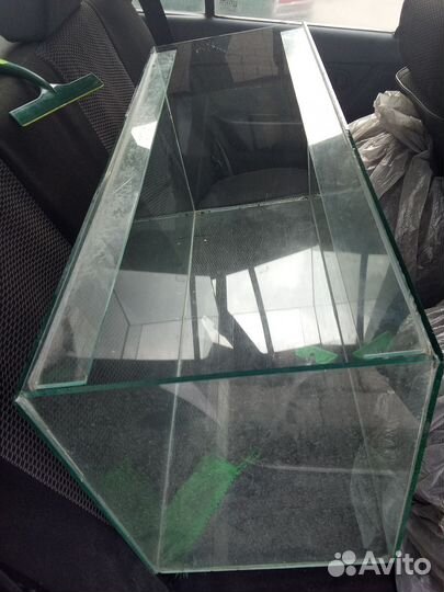 Аквариумные рыбки