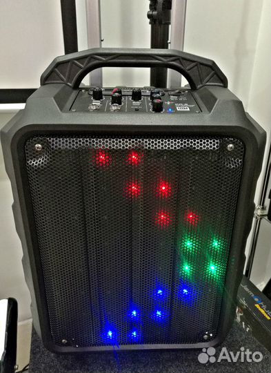 Портативная акустическая система Leem PR6