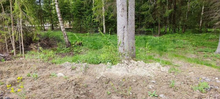 Участок 12,9 сот. (СНТ, ДНП)