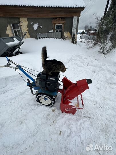 Мотоблок нева