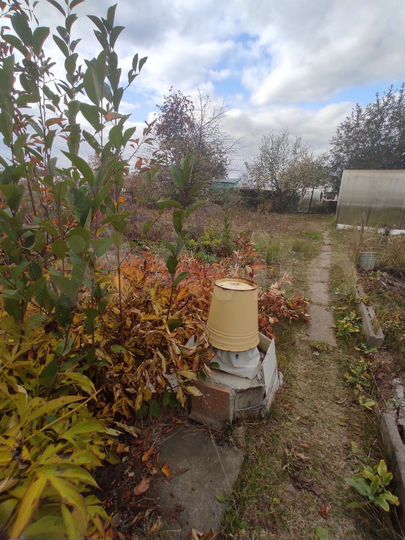 Дача 20 м² на участке 5 сот.