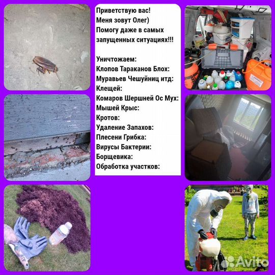 Обработка квартир домов и участков