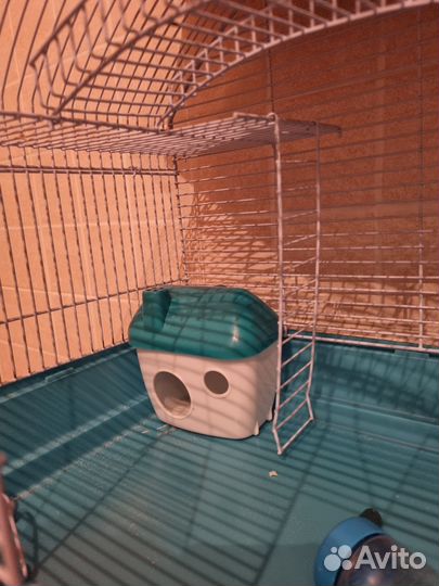 Клетка + шар для хомяка со всем необходимым