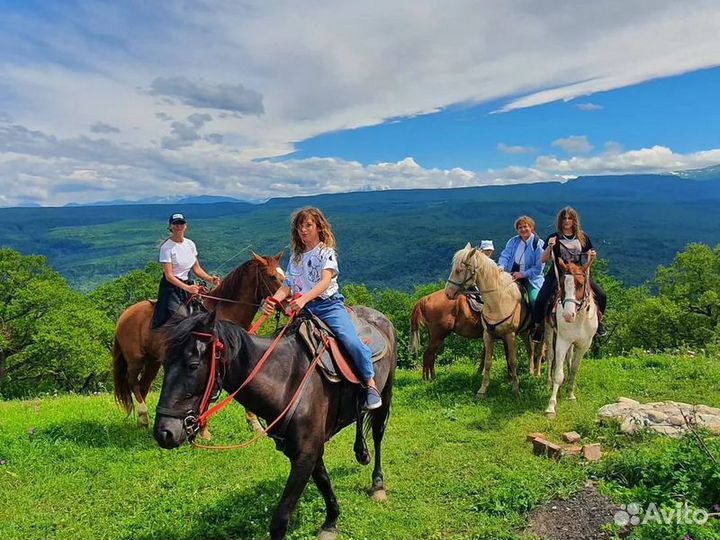 Экскурсия — Кисловодск — Конная прогулка в Аликано