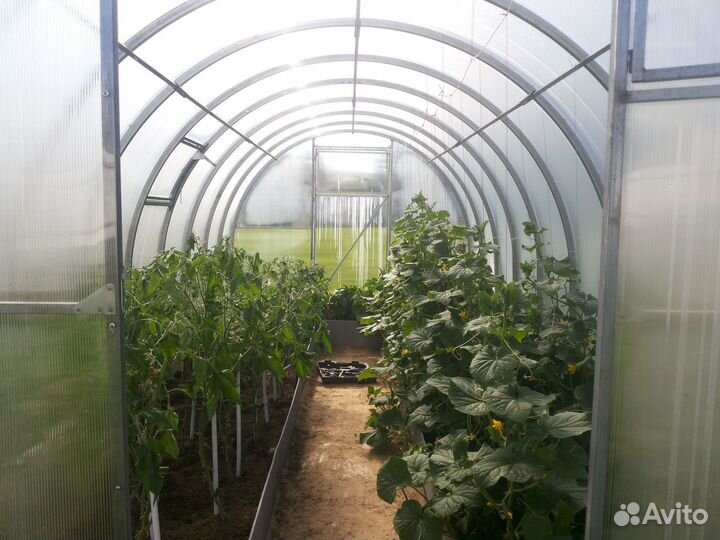 Теплица Радуга