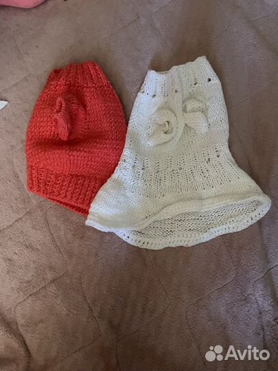 Одежда для маленьких пород собак