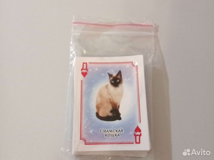 Игральные карты,с породами кошек со всего мира