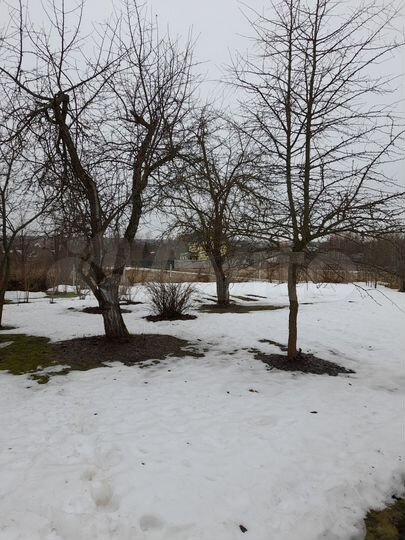 Участок 25 сот. (ИЖС)