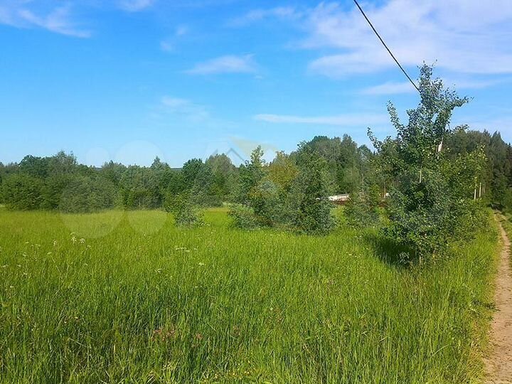 Участок 1,88 га (СНТ, ДНП)