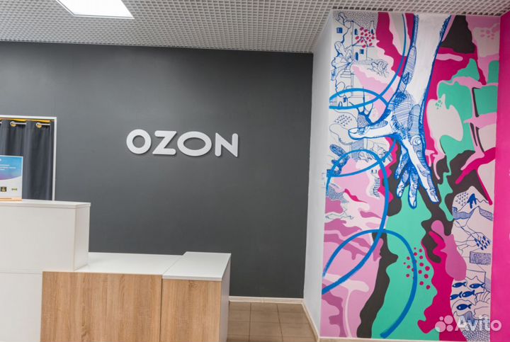 Ресепшен для пвз озон брендбук новый