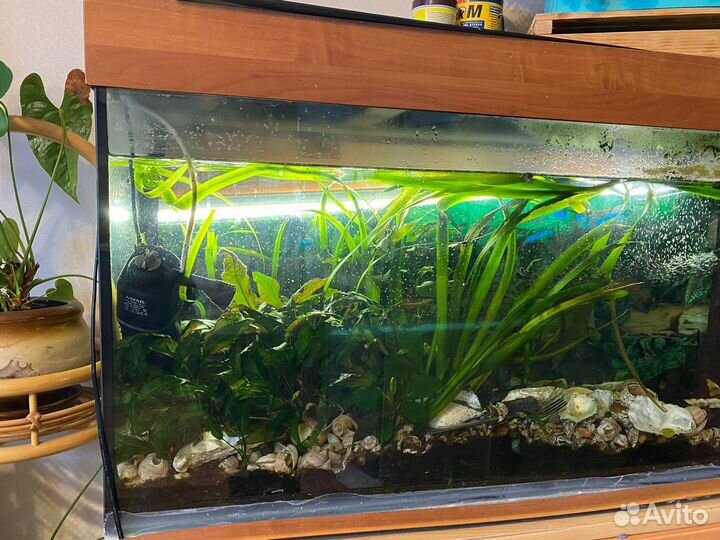 Аквариум