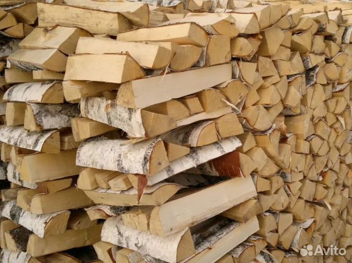 Дрова береза