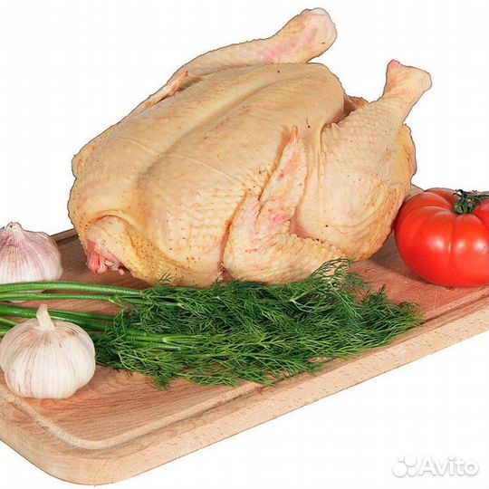 Куры бройлеры тушки мясо