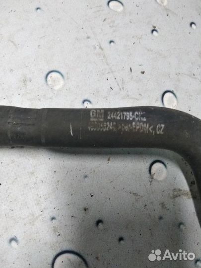 Патрубок охлаждения 24421795