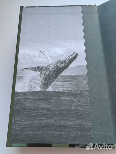 Книга по дораме