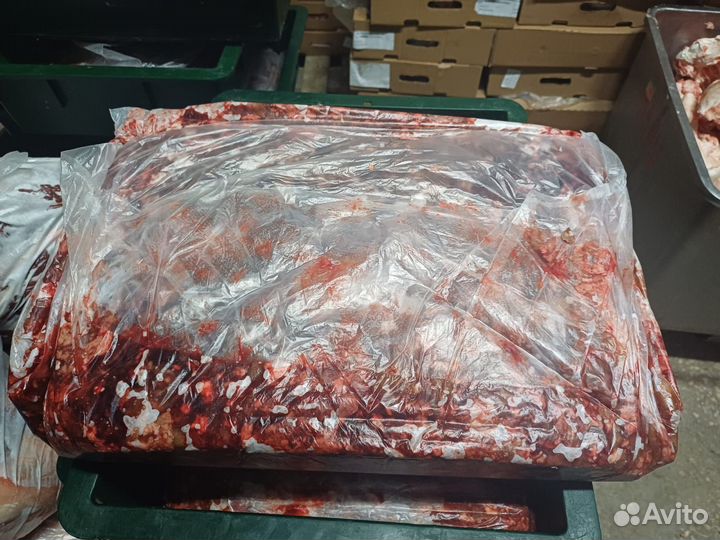 Корм для животных