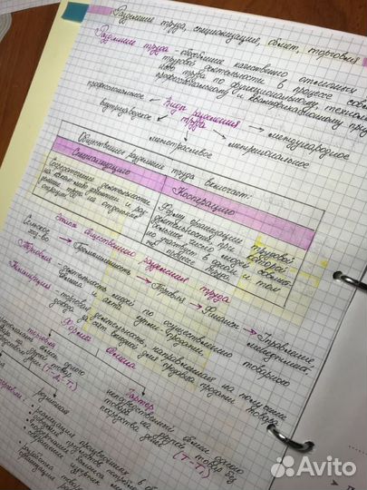 Напишу за вас конспект