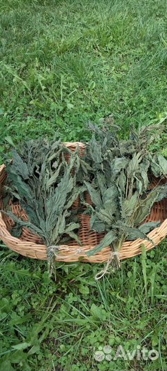 Крапива, листья