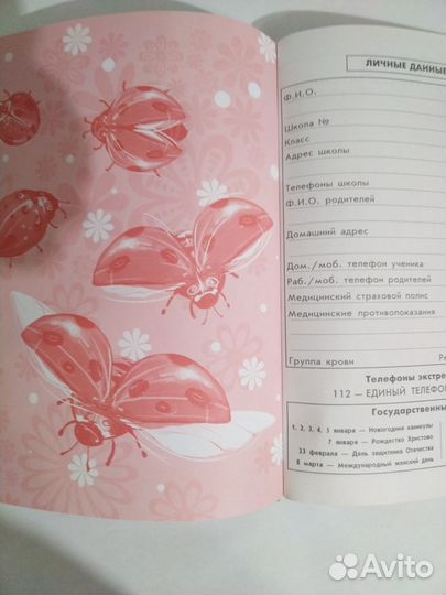 Дневник школьный